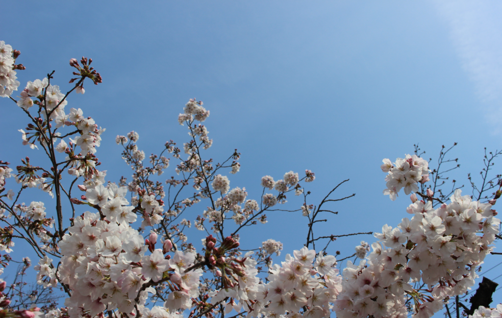 深谷市萬福寺境内
